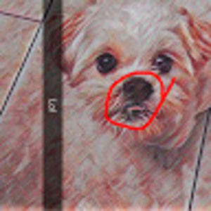 Meet your Posher, Mac